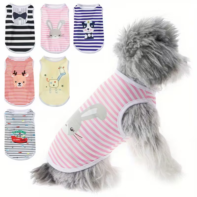 Summer Clothing In French - Lindo chaleco refrescante de verano para