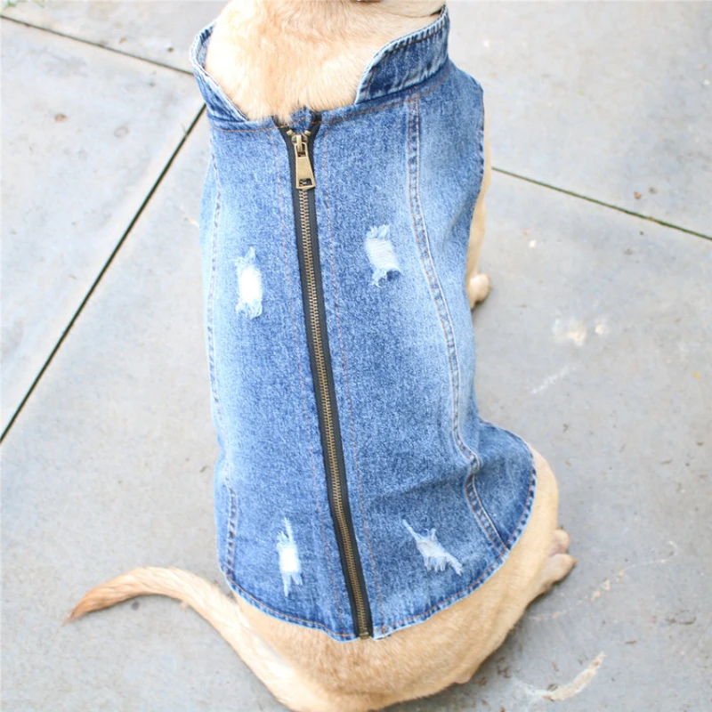 Summer Clothing In French - Ropa de verano para perros grandes