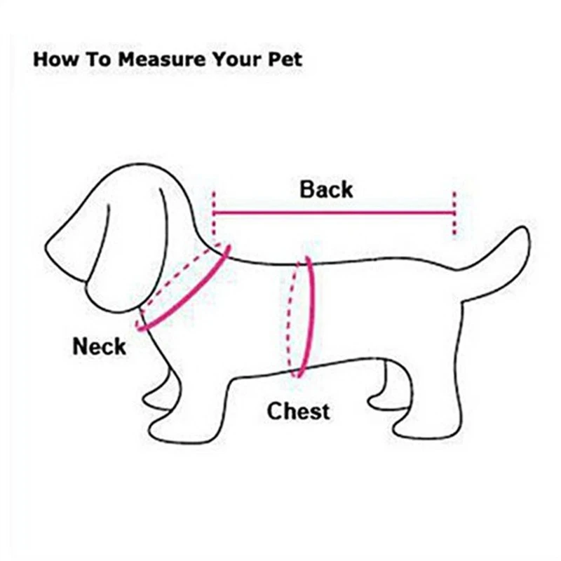 Ropa de verano para perros gra - Summer Clothing In French reseña y precio