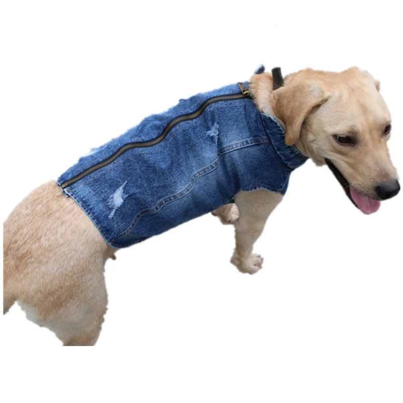 Ropa de verano para perros gra - Summer Clothing In French reseña y precio