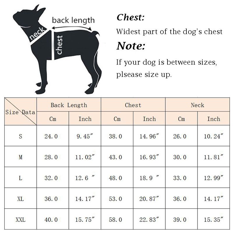 Camiseta de Verano para Perros - Summer Clothing In French reseña y precio