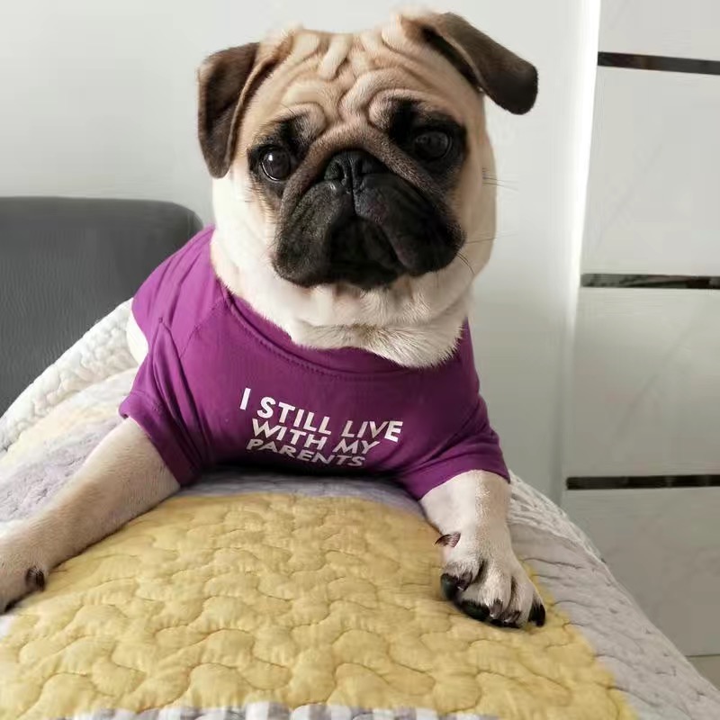 Camiseta de Verano para Perros - Summer Clothing In French reseña y precio