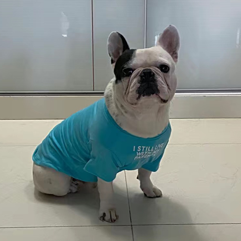 Camiseta de Verano para Perros - Summer Clothing In French reseña y precio