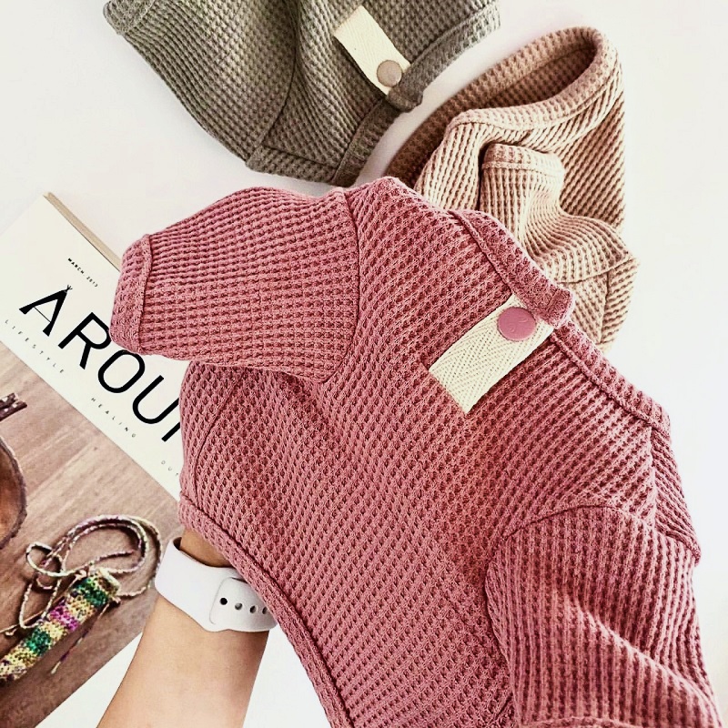 Camisa de verano para mascotas - Summer Clothing In French reseña y precio